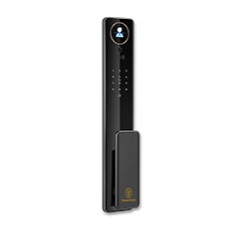 Trinktech Re-S-100  Modulo Repuesto Externo Completo Para  S-100 M Smart Lock ( No Incluye Bateria)